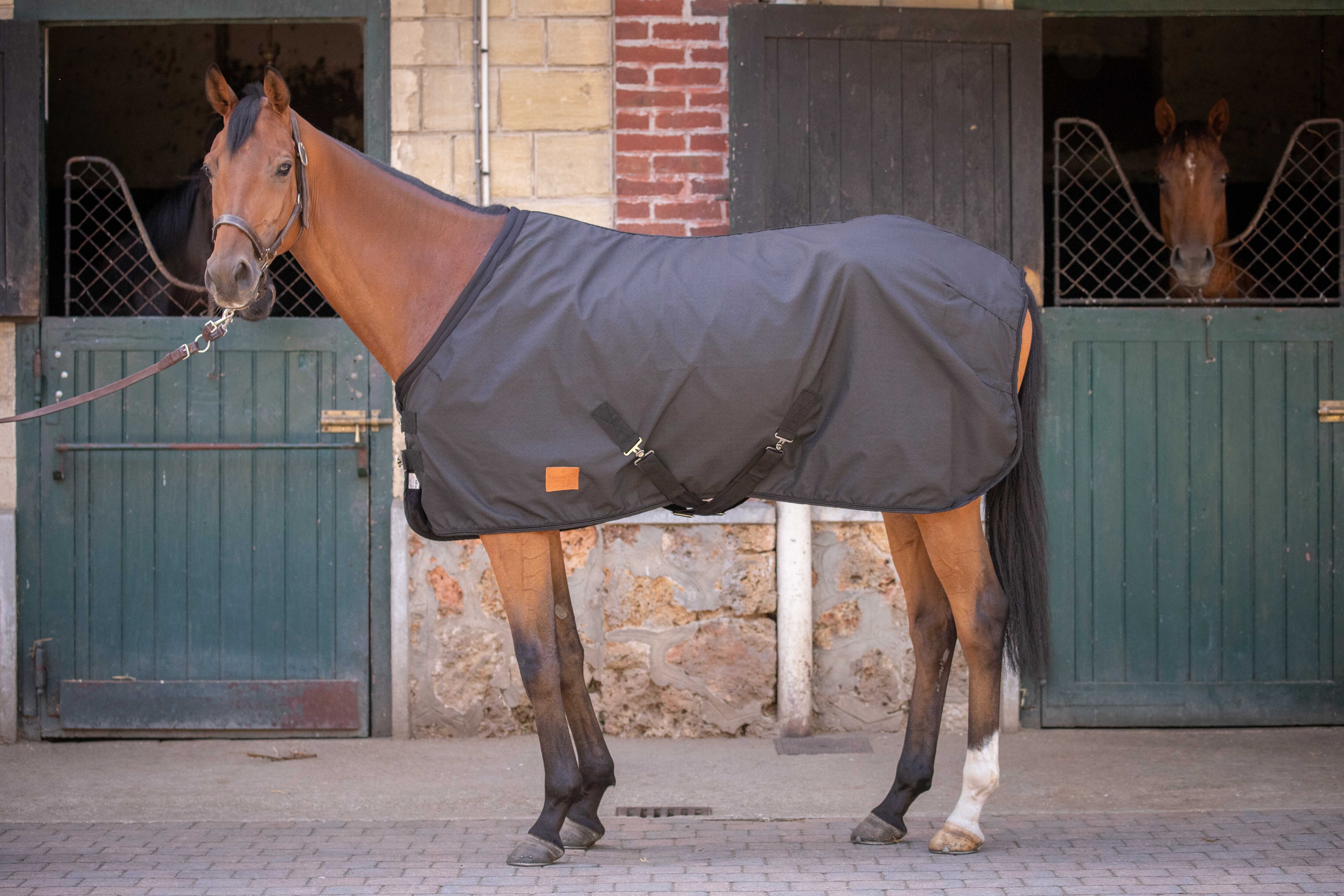 馬着・エクササイズシート | 馬具・乗馬用品 P-joux