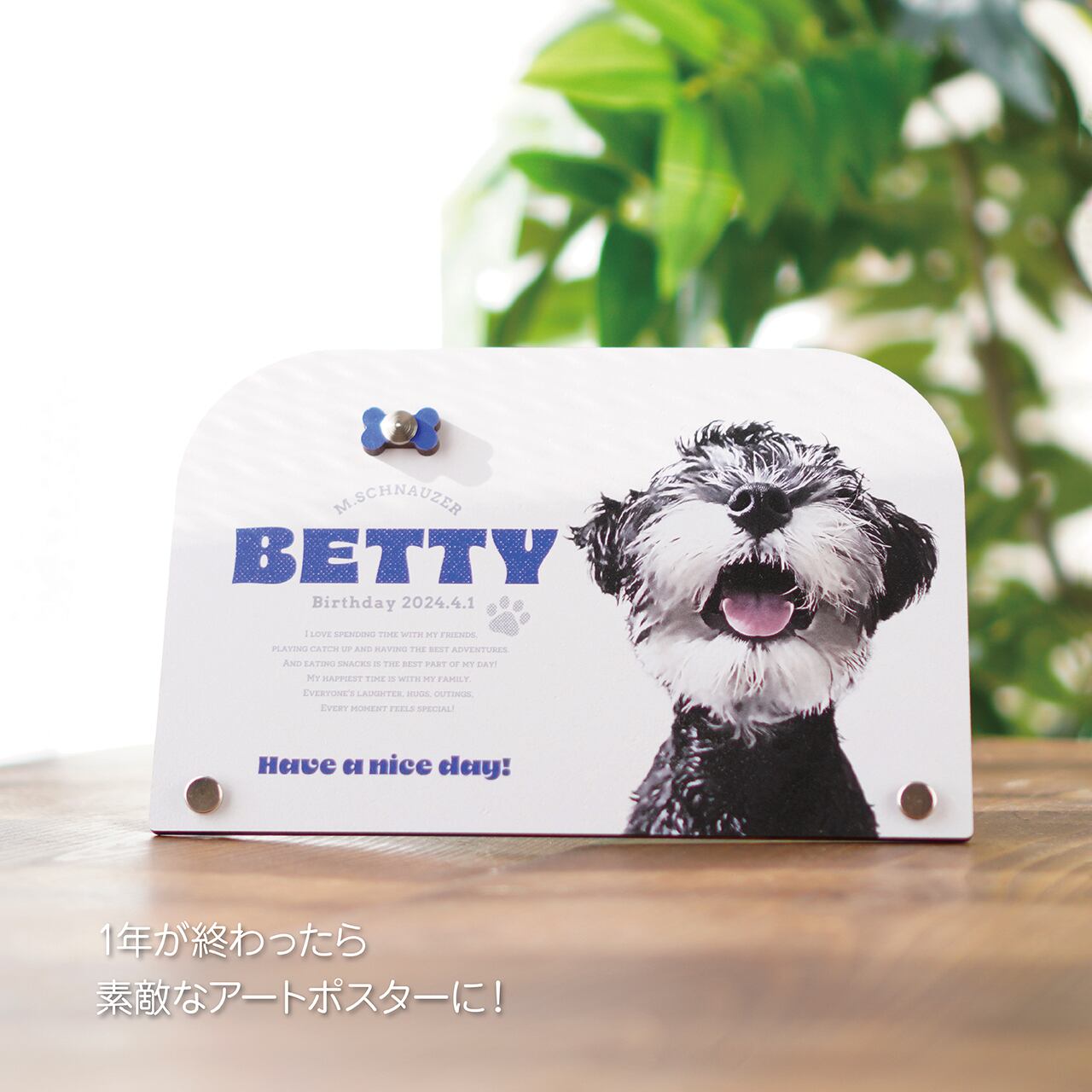 受付終了!】ポスターカレンダー 2026年 | ひまわんギャラリー