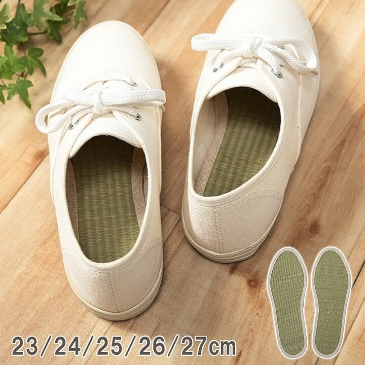 インソール みらいインソール 25cm