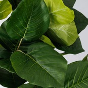 ウンベラータ 180㎝［人工観葉植物・フェイクグリーンT］