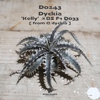 【送料無料】'Kelly'×'BS' F1 D033《ベアルート株》〔ディッキア〕現品発送D0243