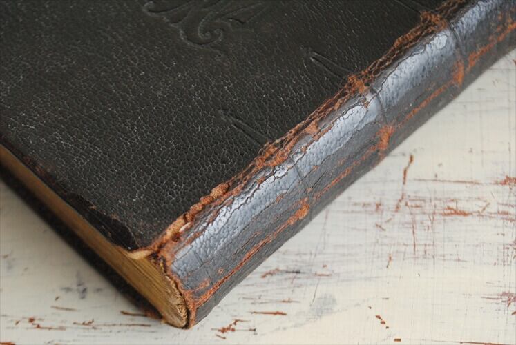 フランスアンティーク　聖書　古本　洋書 フランスアンティーク聖書古本洋書