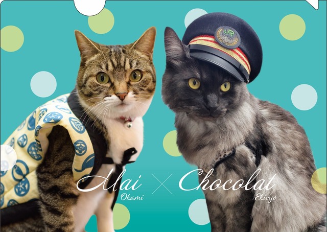 【引退記念パッケージ】まいちゃんまんじゅう