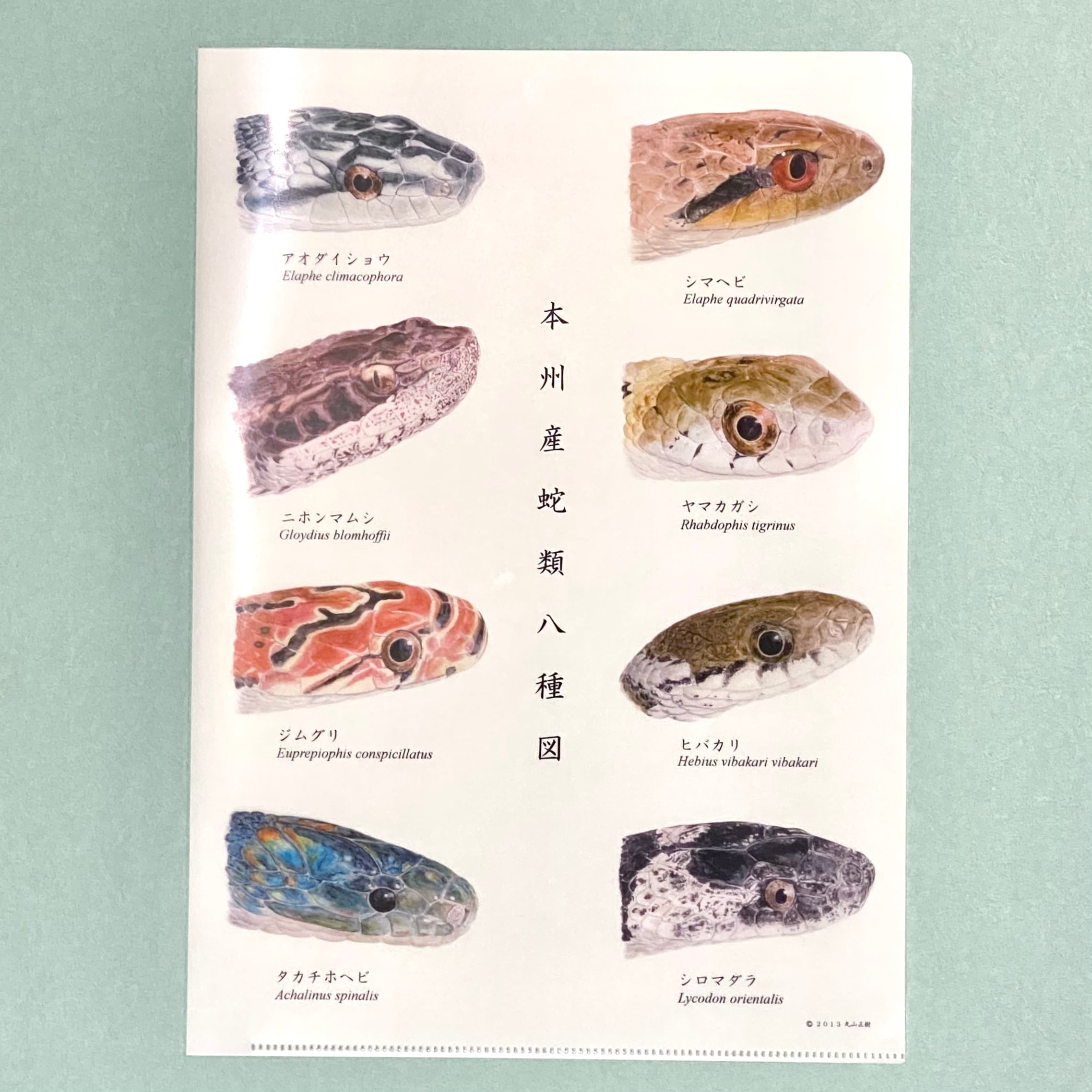 ヘブバン クリアファイル 全8種セット ヘブバン クリアファイル 全8種セット ヘブバン クリアファイル