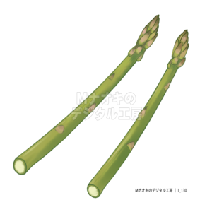 アスパラガス　asparagus