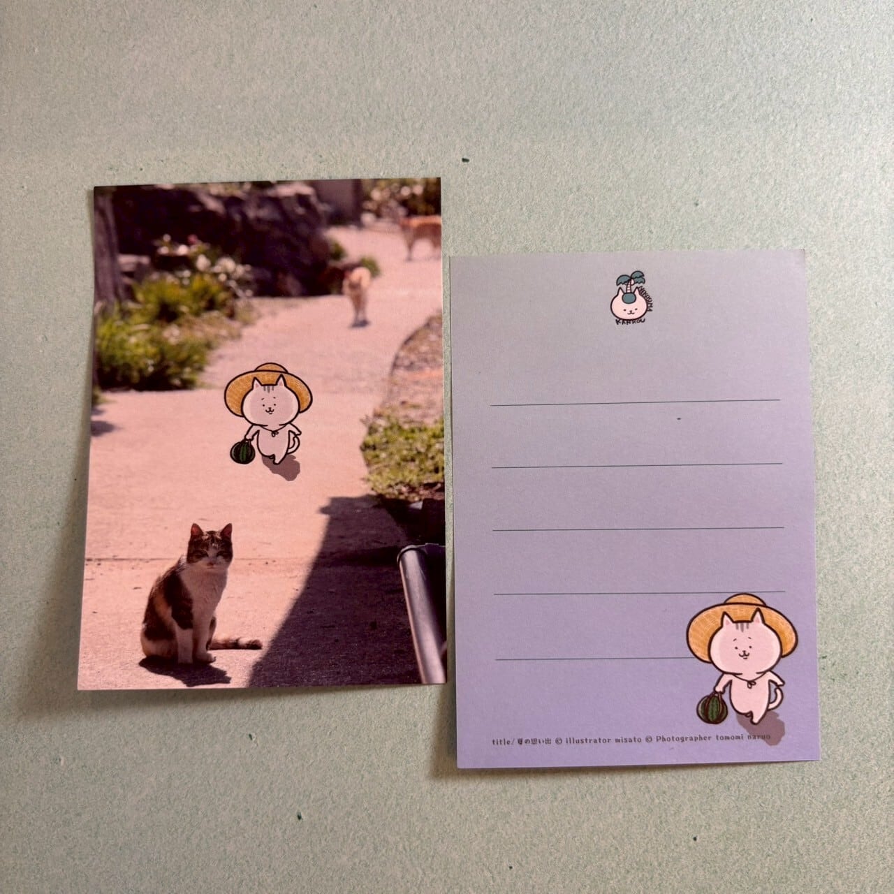 【写真×イラストコラボ】猫島猫の日常 ミニ便箋01 夏の思い出