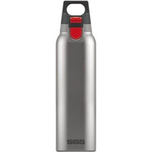 SIGG(シグ) 保温・保冷ボトル ホット＆コールドワン プラッシュド 0.5L/ds-1810892