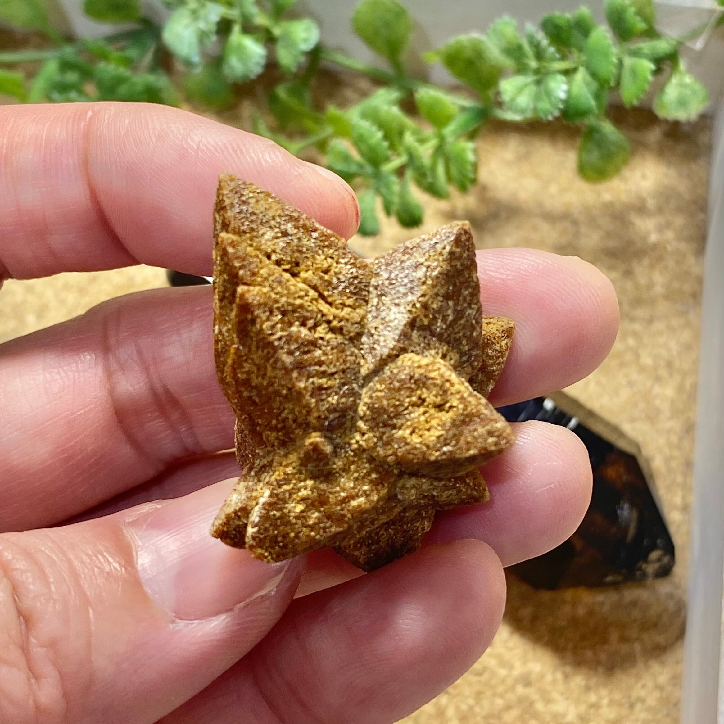 グレンドナイト | 石の魔法