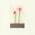荒木珠奈「花たち」ARAKI Tamana/ etching, aquatint thumbnail 1