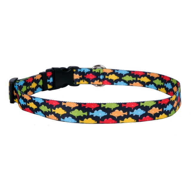 Rainbow Fish Black 首輪＋リードセット Lサイズ - Yellow Dog Design