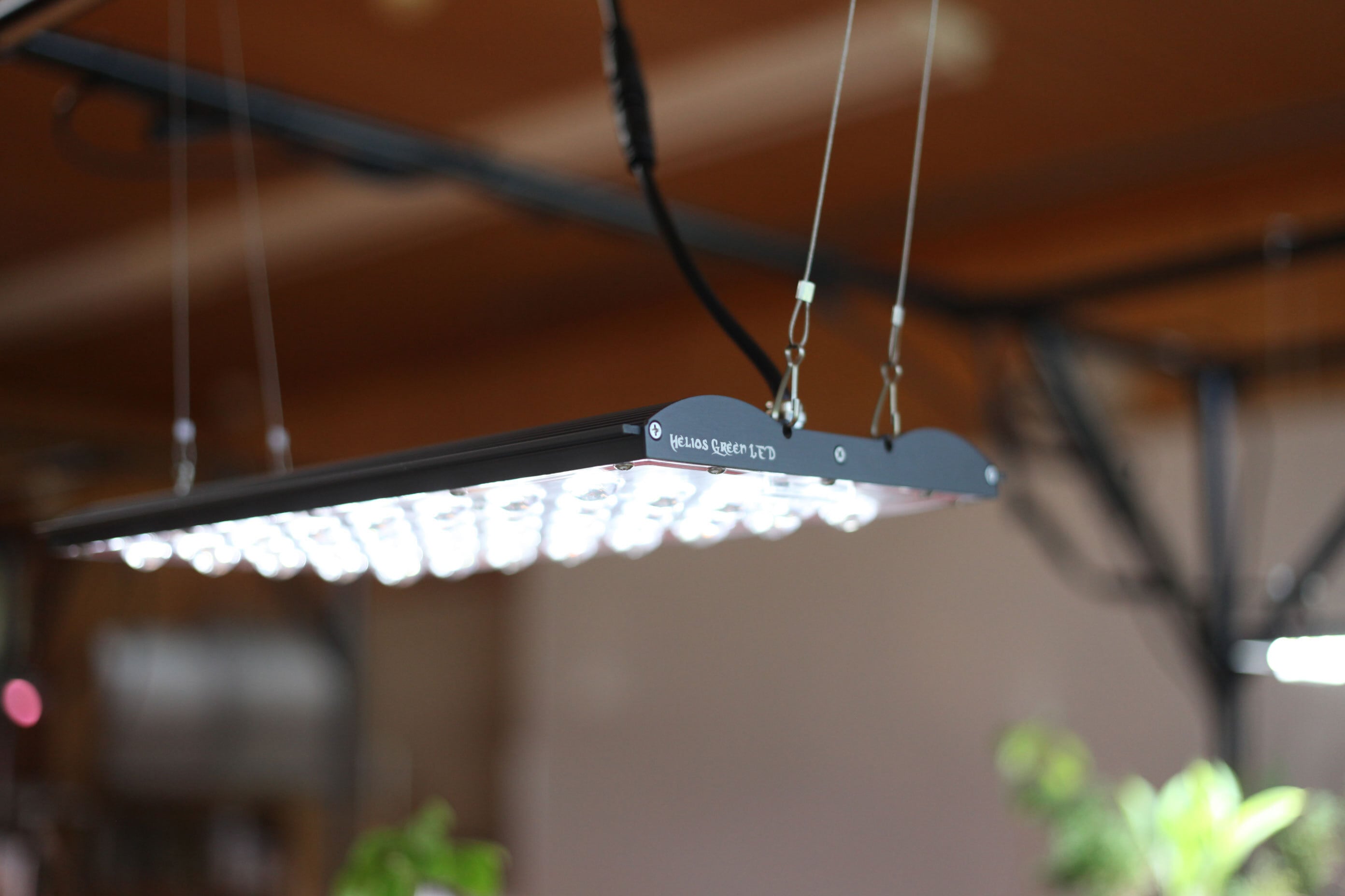 ◇ Helios Green LED PRO Booster パネルのみ / 広域照射植物 ◇ Helios Green LED PRO Booster パネルのみ / 広域照射植物