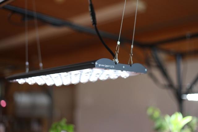 ◇ Helios Green LED PRO Booster パネルのみ ／ 広域照射植物育成 
