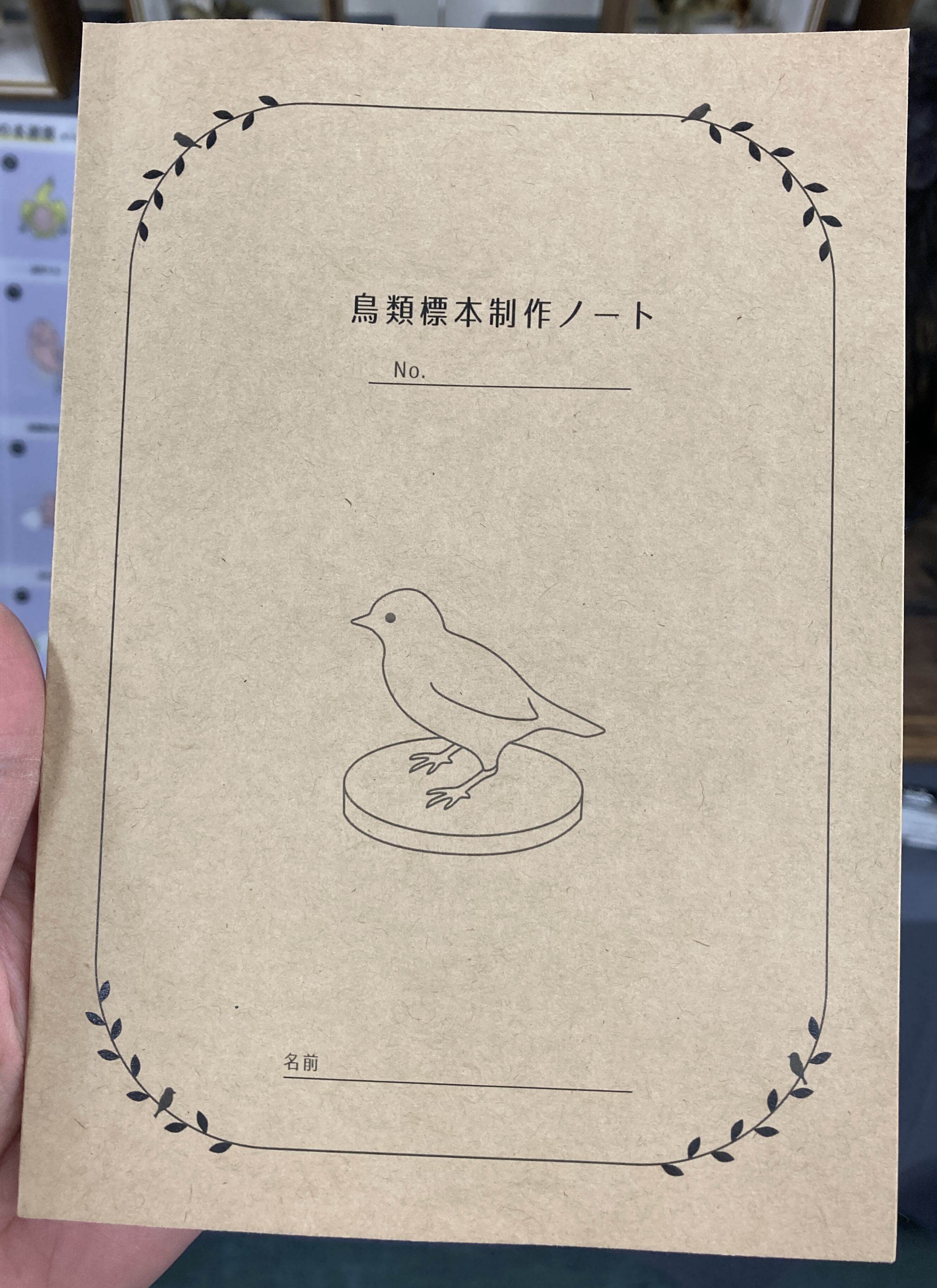 浜口標本webショップ