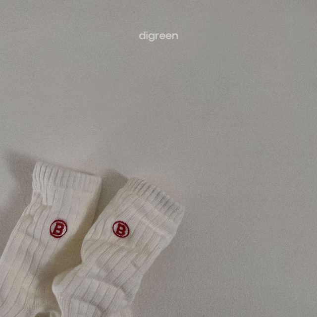 〘予約〙digreen / socks_butter