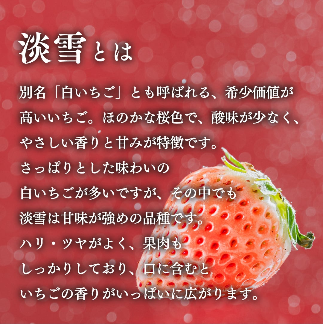 お歳暮/冬ギフト】雅乃苺 淡雪 440g(220g×2P) 熊本産 希少な白いちご