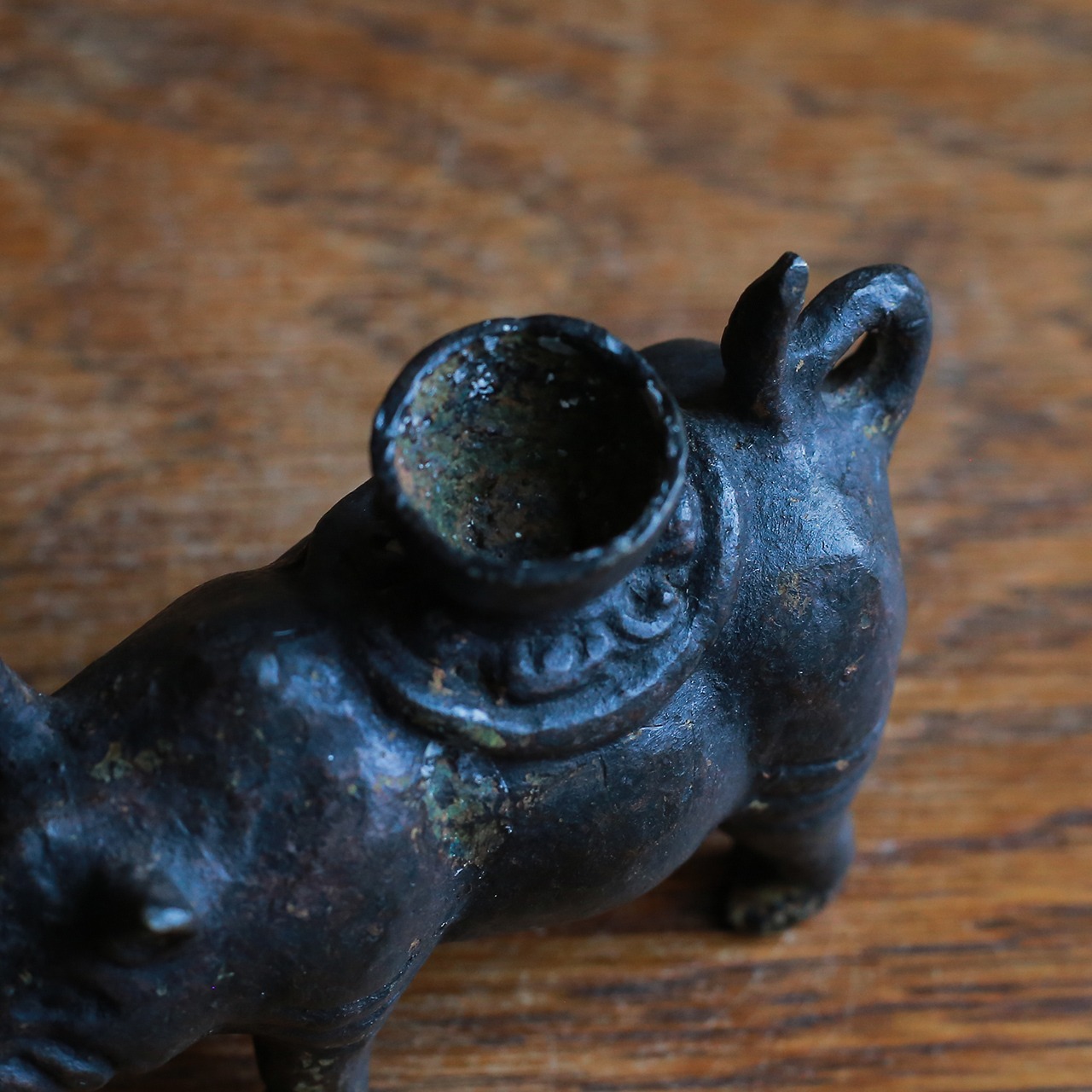 背中にキャンドルを乗せる、ずっしりとしたサイ 1