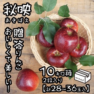 おいしいりんご秋映 贈答10キロ（28〜36玉）