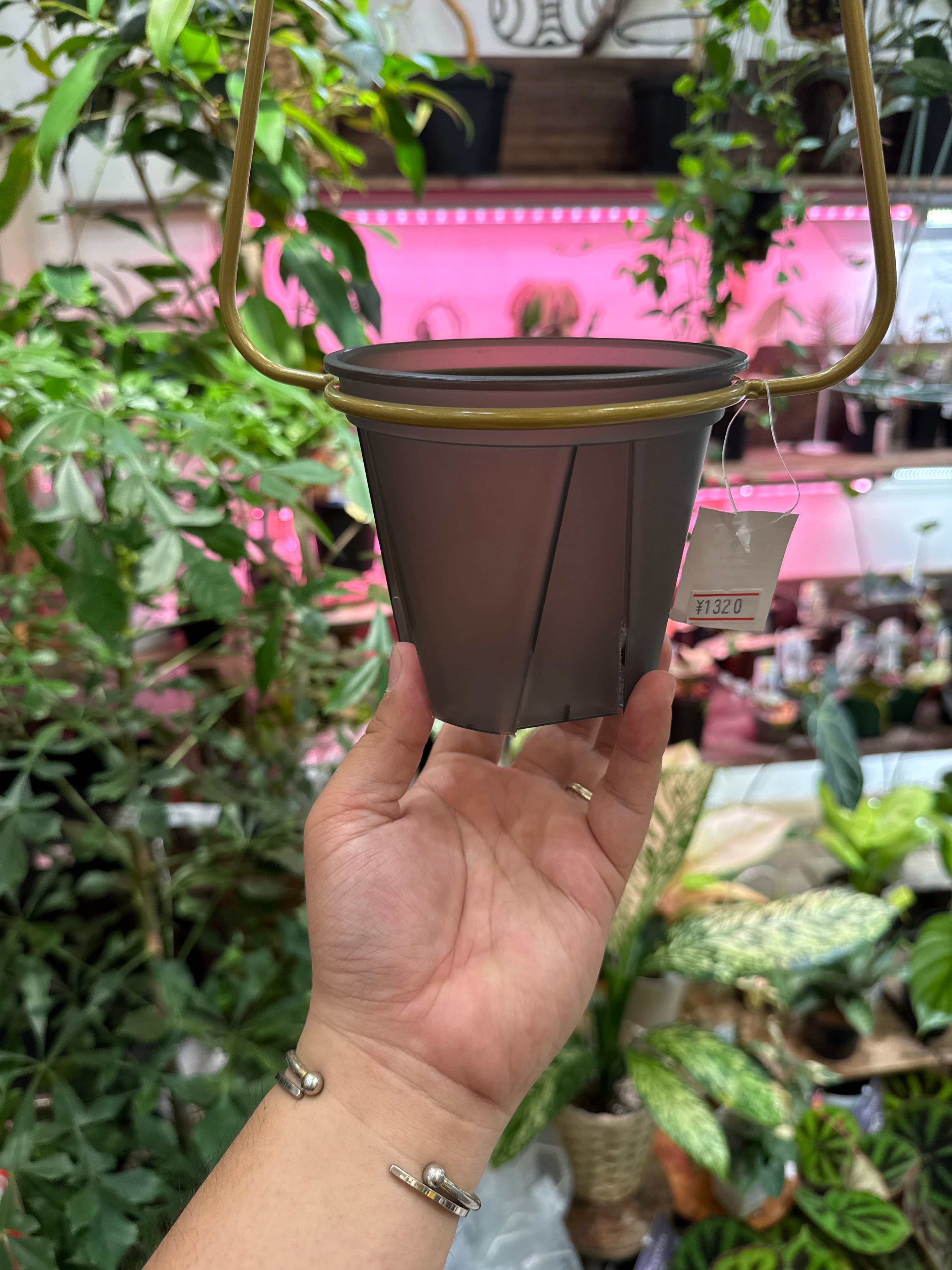 4号】アイアン ハンギング ハンガー | Gardenえん 【観葉熱帯植物】