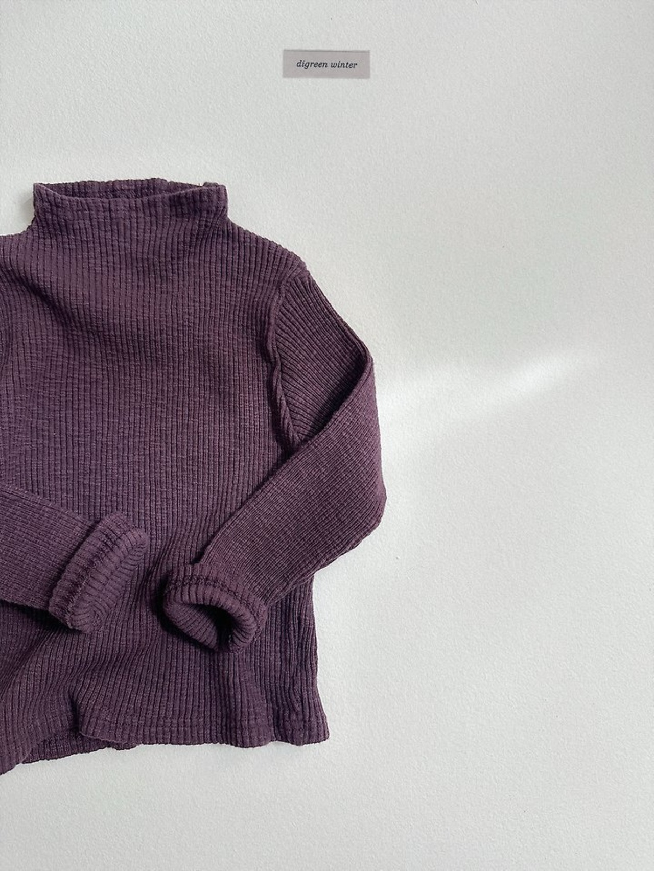 〖取寄〗韓国子供服 / 26winter / Digreen / トープタートルネックT / キッズ / 冬服 *S~2XL*
