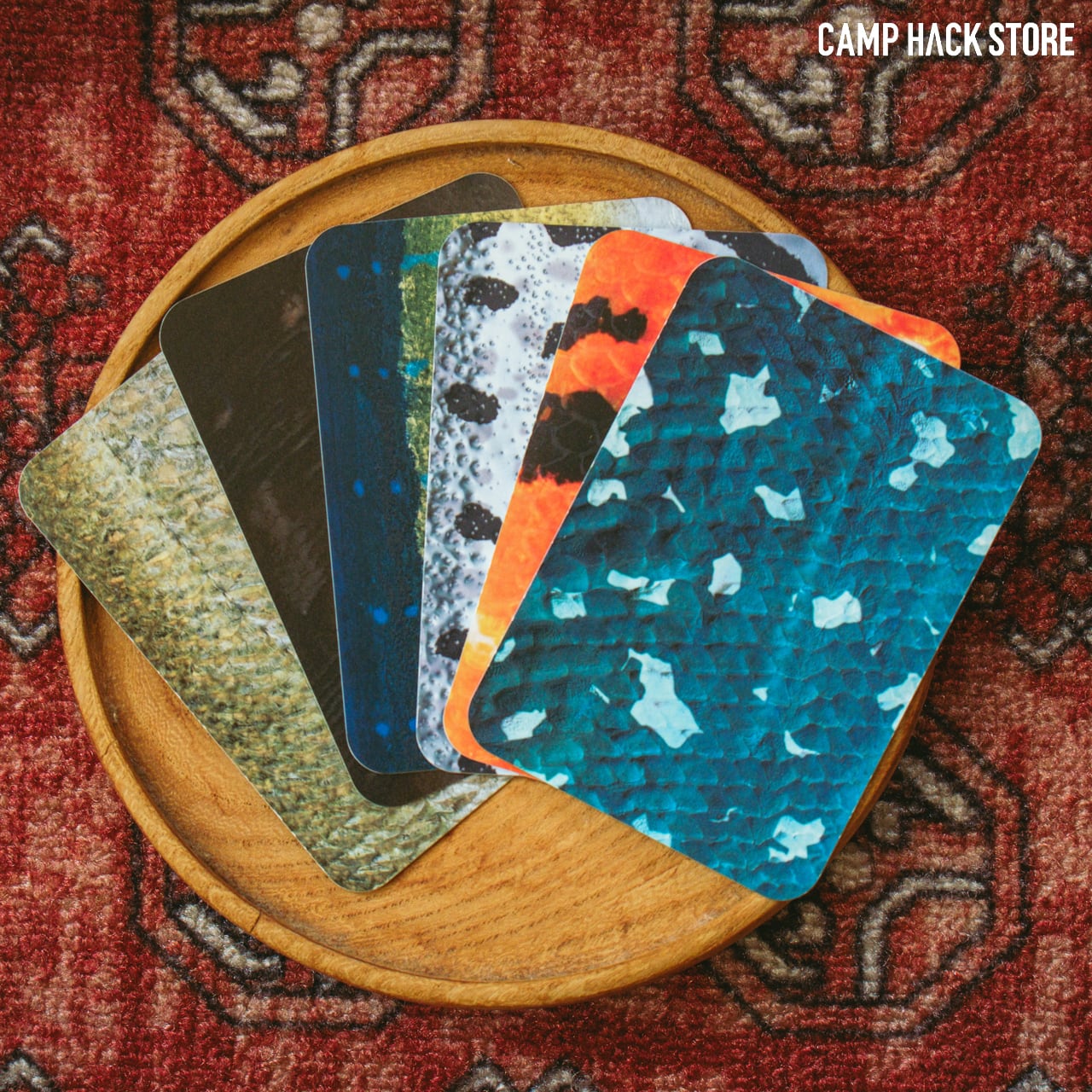 魚種をもっと！「さかなかるたプラス」 | CAMP HACK STORE