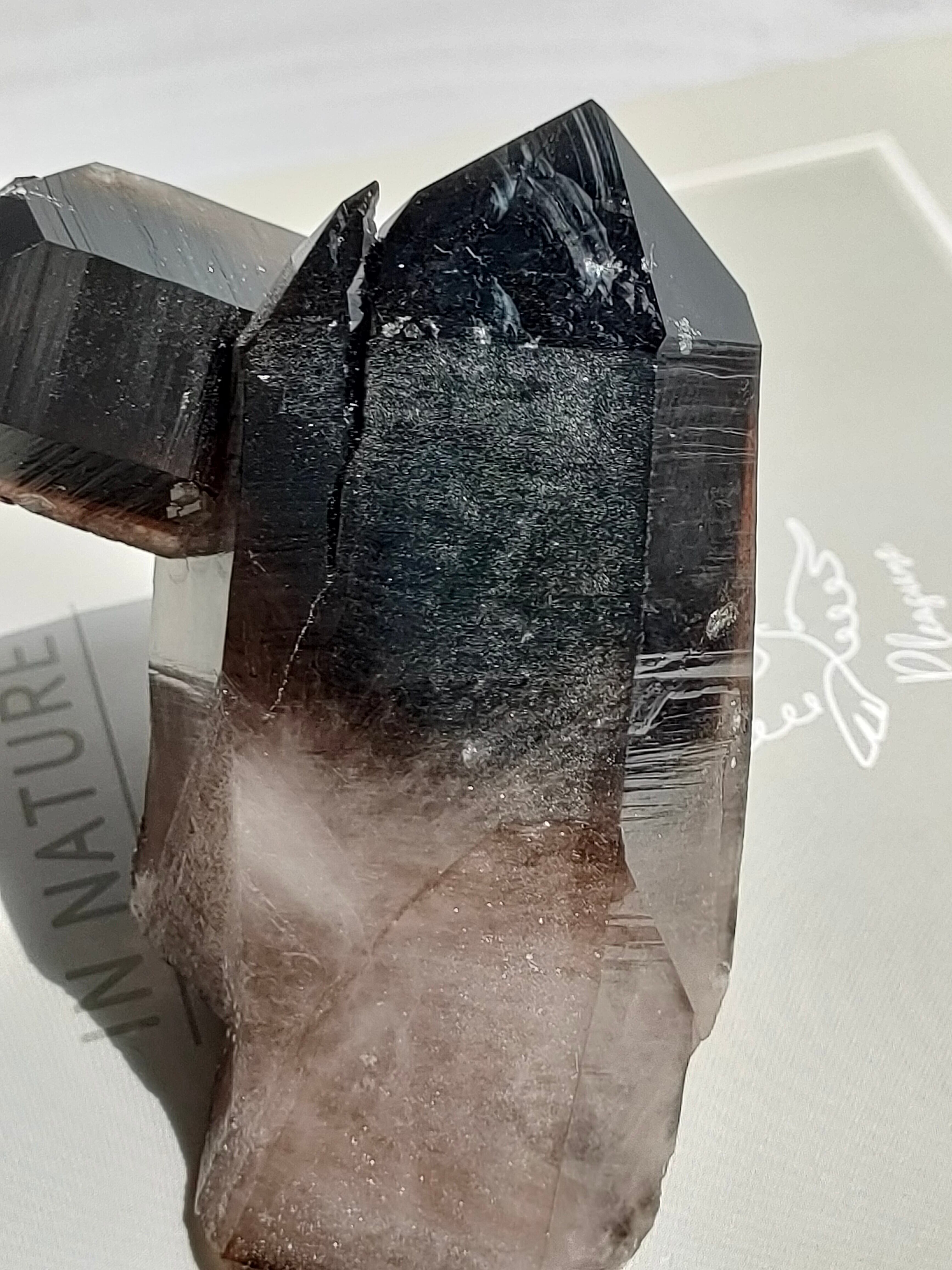 アウトレット!艶々モリオン