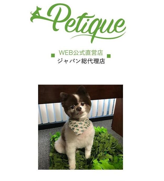 アンナ ニコル　ボビングヘッド　ヘッドノッカー　バズリーボッバーズ Wacky Wobbler（ボビングヘッド） | HAPPY GO LUCKY