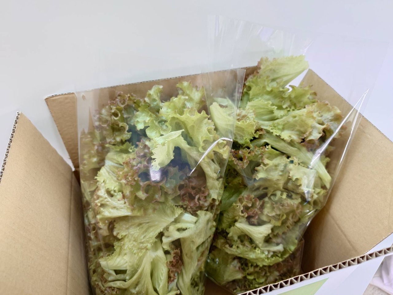 ブーケレタス 350g×1pc