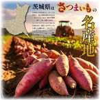 干し芋（切れ端）