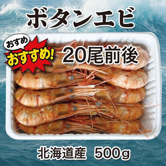 北海道産 ボタンエビ　大サイズ　500g入り（20尾前後）