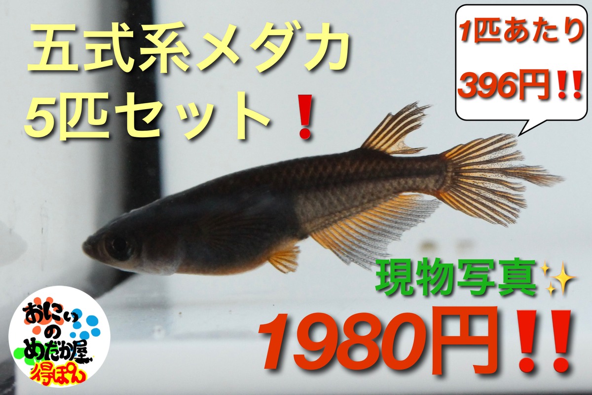 4317f1157f5f7c17c5a28bfa944cd0 