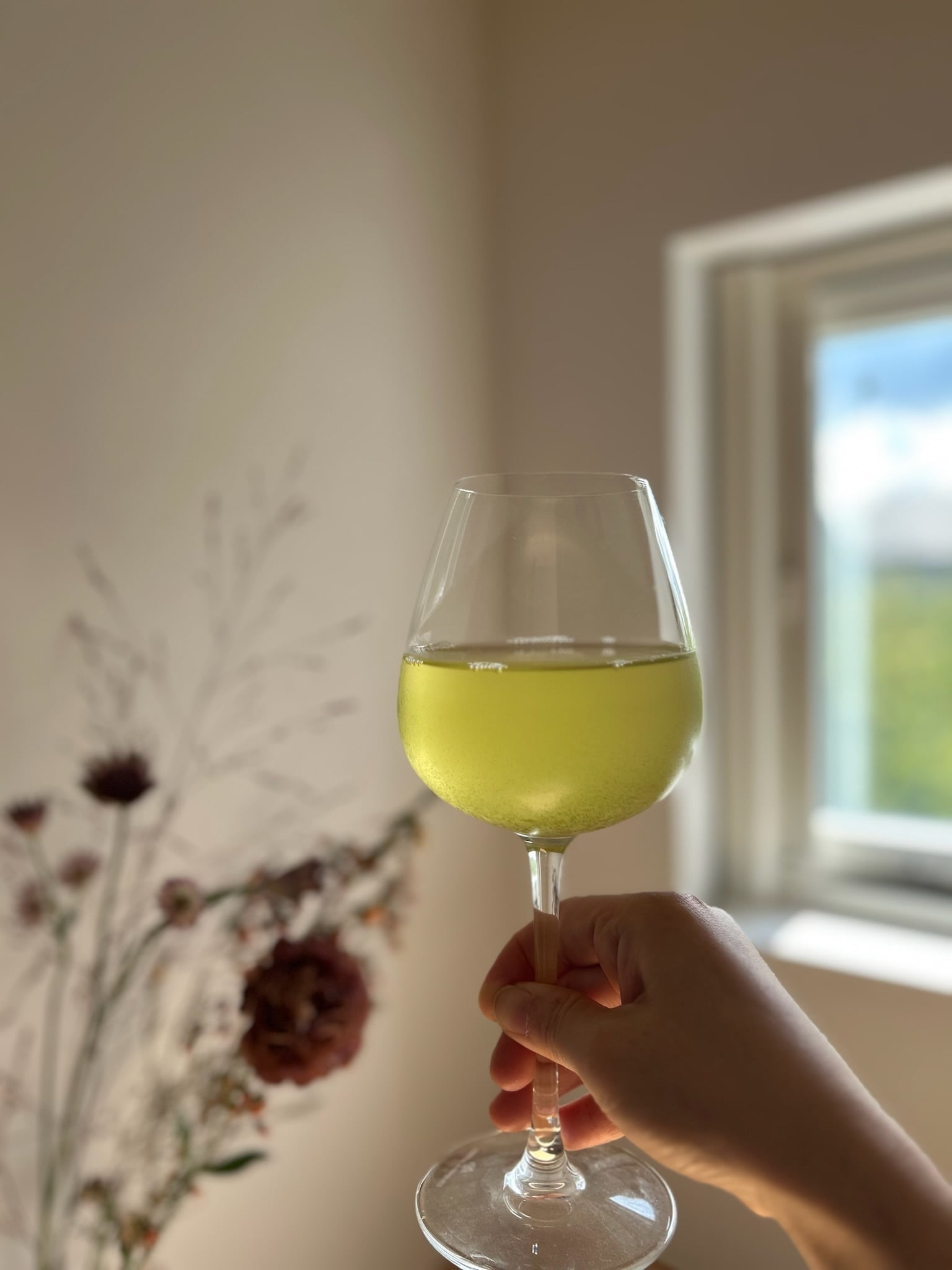 2026年産 新茶】極上島根茶70g 農薬不使用茶 | 加島茶舗