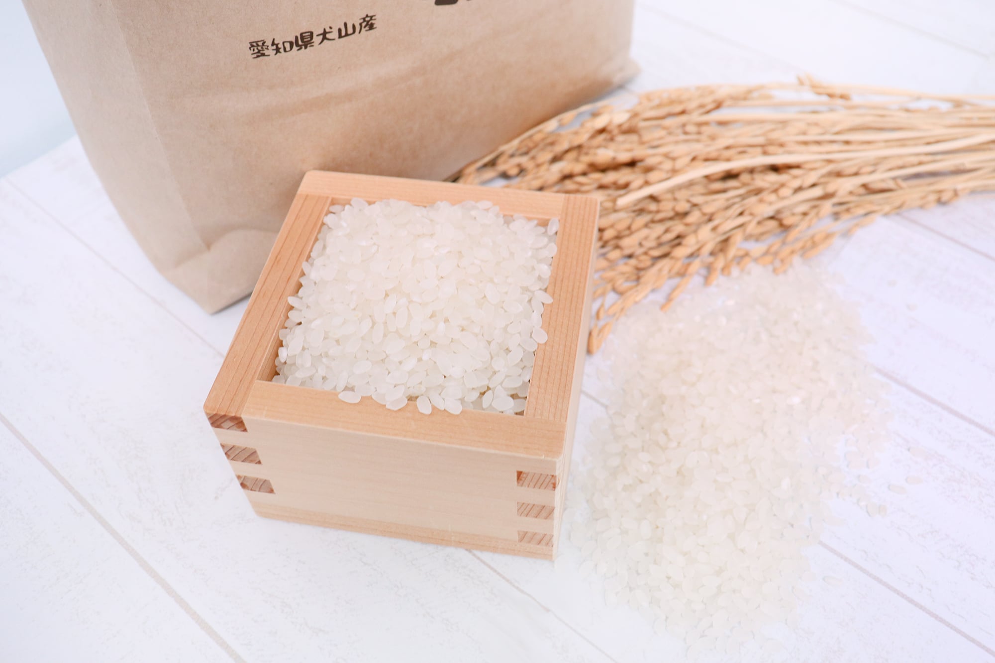 あいち三河のお米 米 40kg ※新米ではありません 令和7年度産！新米】ココトモファームのお米（あいちのこころ・5kg