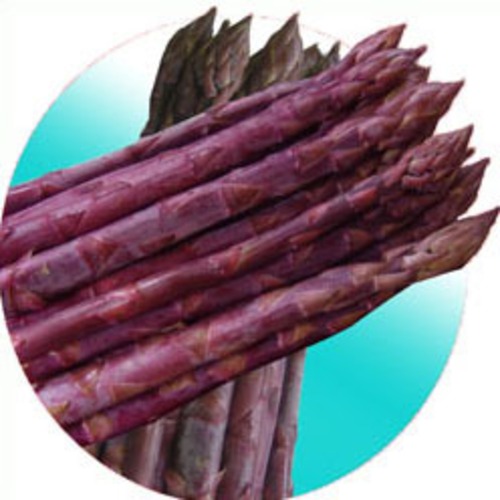 アスパラガス「パープルタワー」（小袋） 画像
