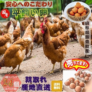 平飼い卵 山形県飯豊町産 ２４個（６個入/パック×４パック）産地直送 送料無料