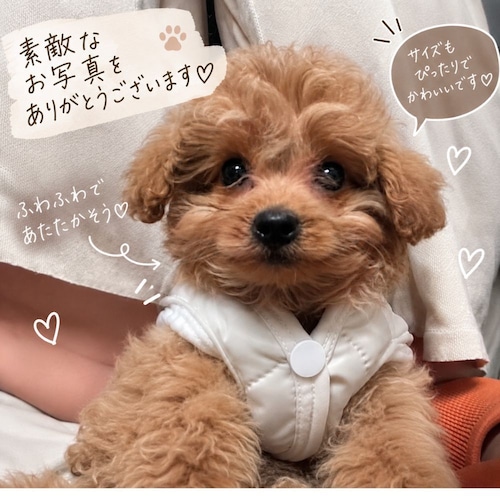 犬服 秋冬 犬用ベスト 防寒着 キルティング ボア 裏起毛 あったか ドッグウェア 小型犬 ペット服 袖なし スナップボタン 着脱簡単 おしゃれ かわいい 秋冬服 アイボリー カーキ S M L XL XXL コピー 商品画像8