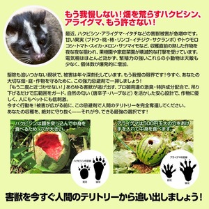撃退ハクビシン屋外用2026最新版 １００個入 100m用 忌避剤 害獣対策 効果は１年持続 ハクビシン忌避剤 ハクビシンよけ