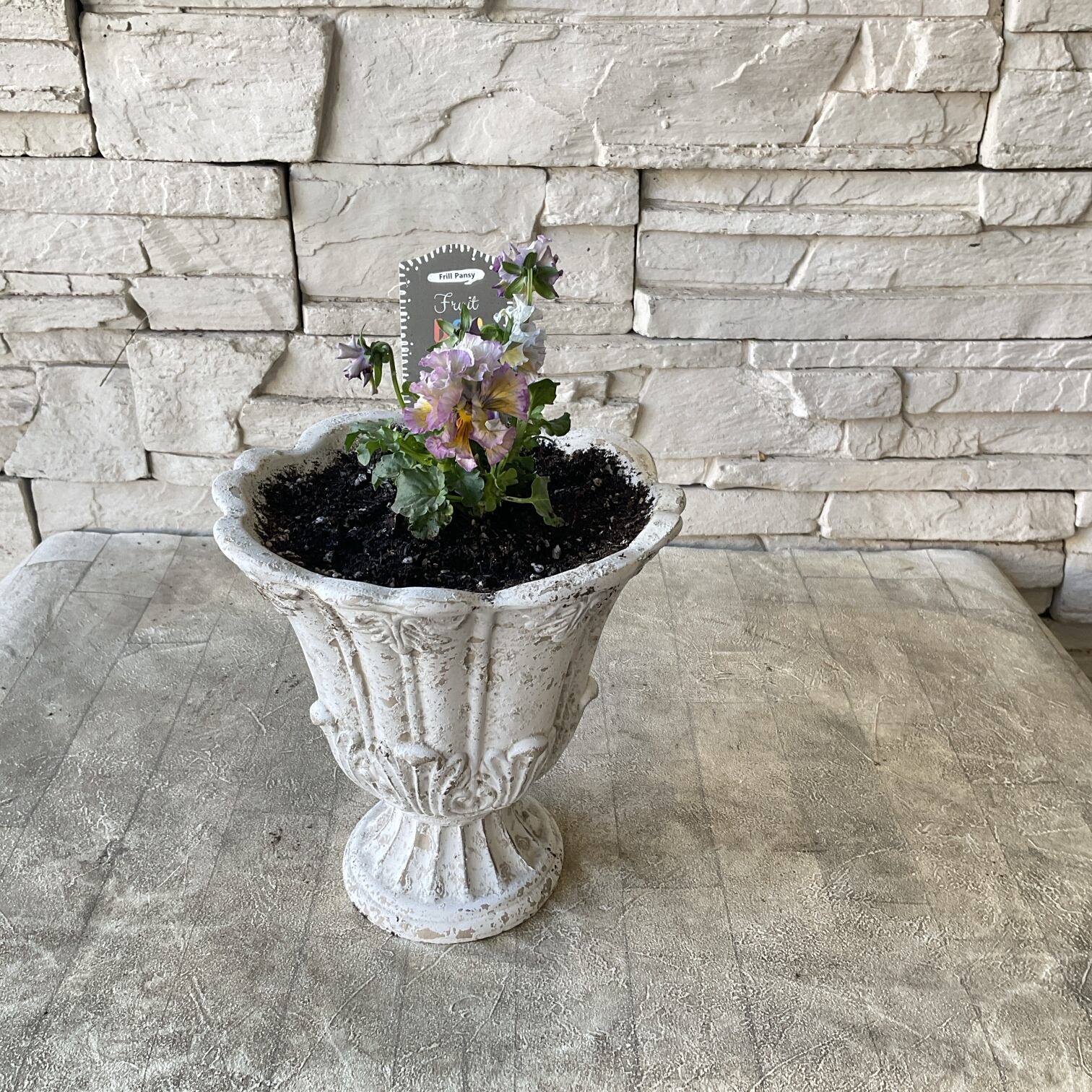 雑貨・鉢 | 橋本種苗園