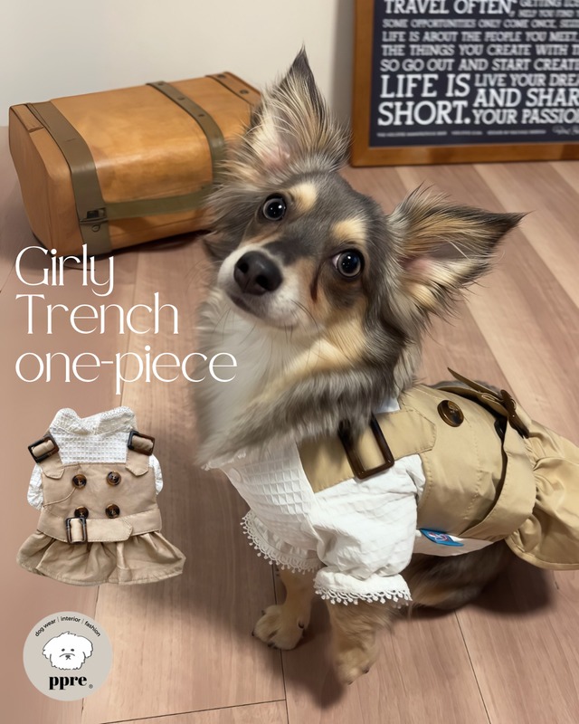 ガーリー トレンチ ワンピース 犬服 ドッグウエア フリル ワッフル シャツ レース レイヤード 重ね着 シンプル スカート コート ベージュ