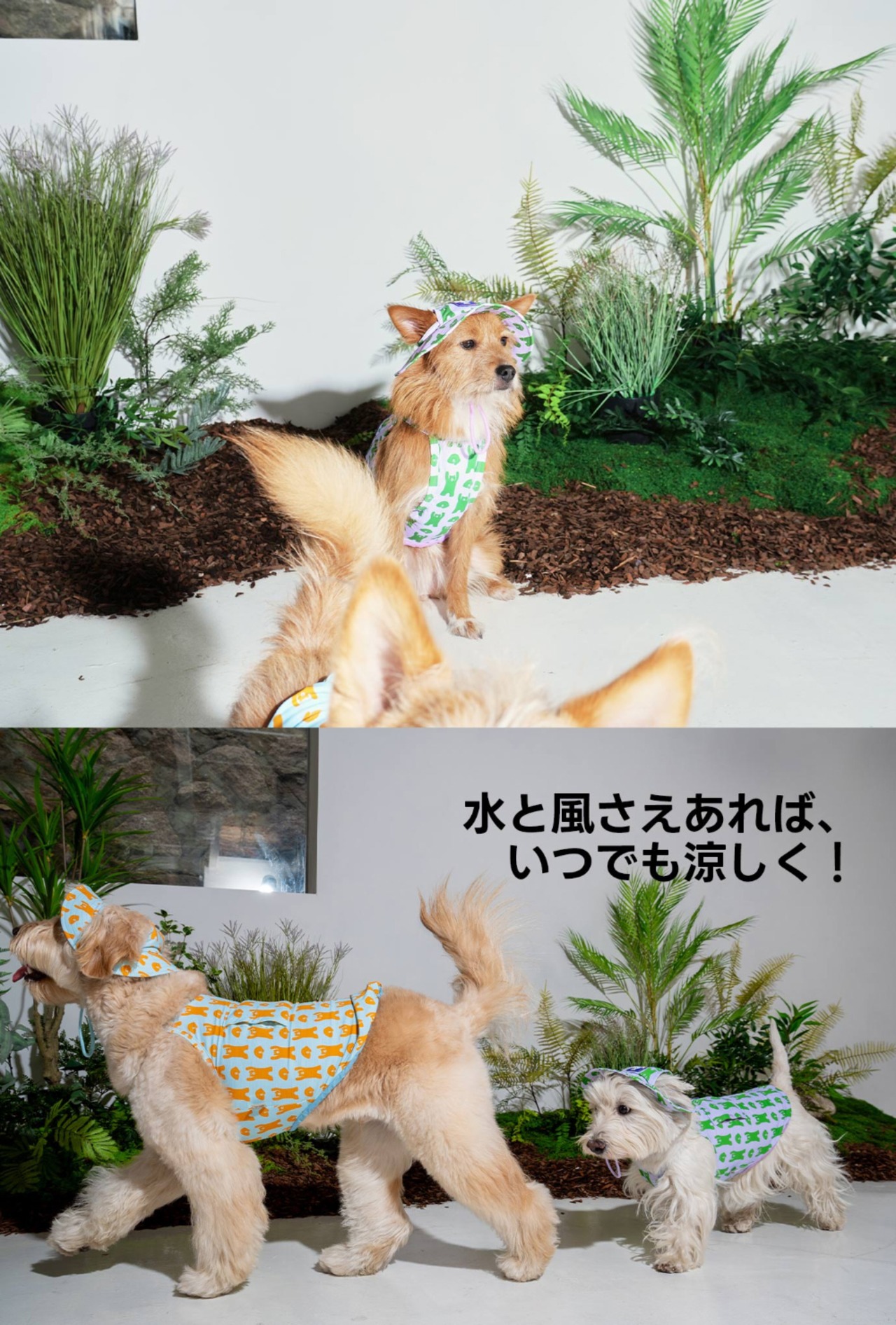 【PUPPYGALLERY公式】Bouncing Bear Bucket Hat　S　