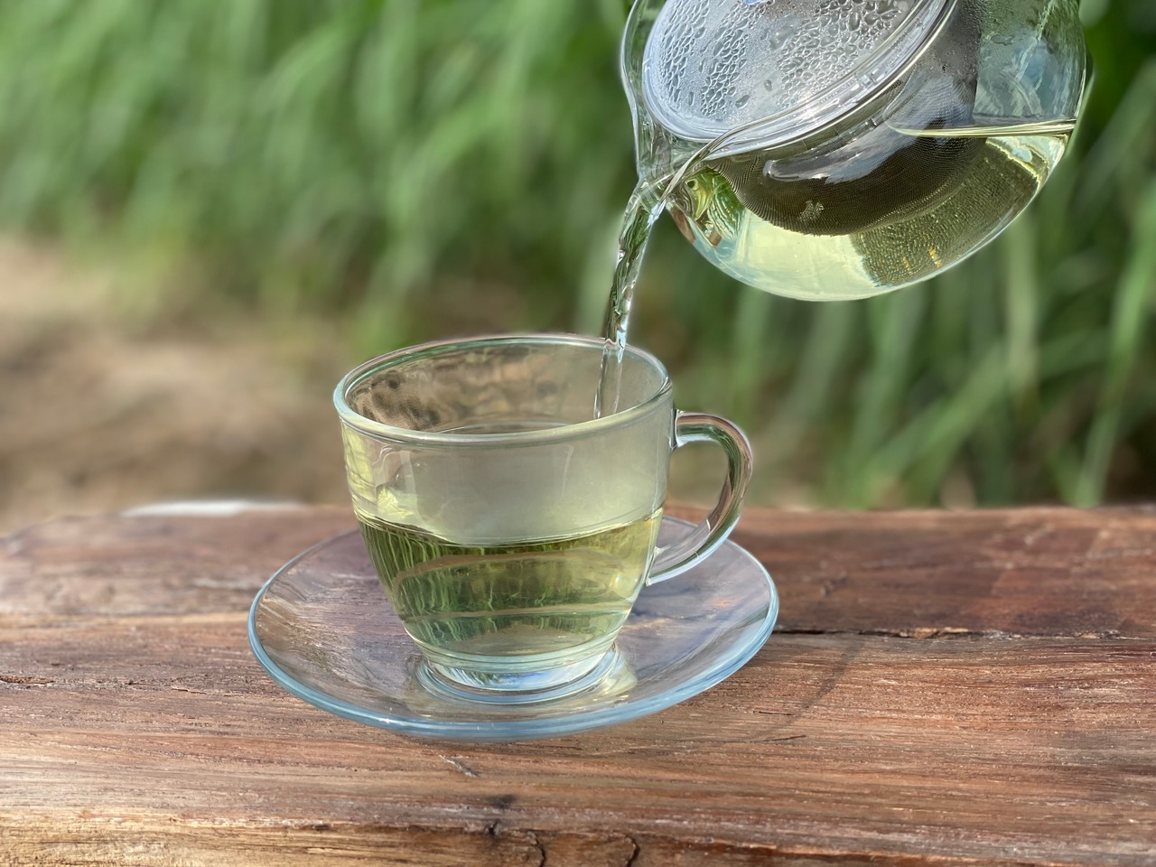 【2025年度プレミアム】狭山のレモングラス茶　ティーパック10個入