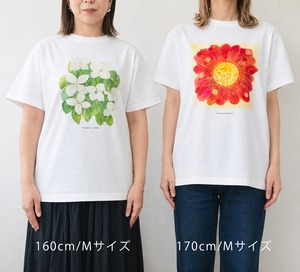 水彩画を着るTシャツ　「ミモザ」