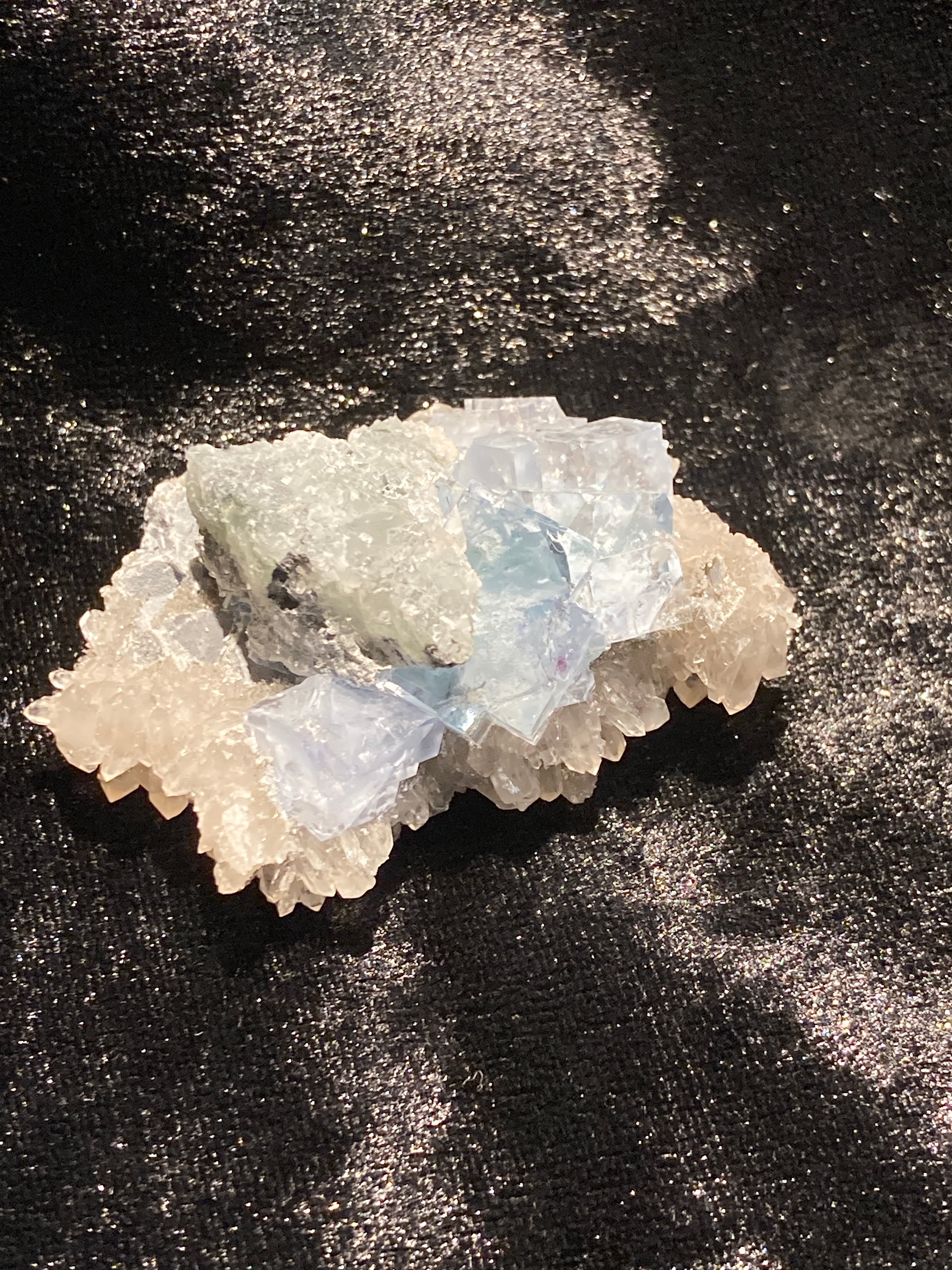 レインボー・シヴァ