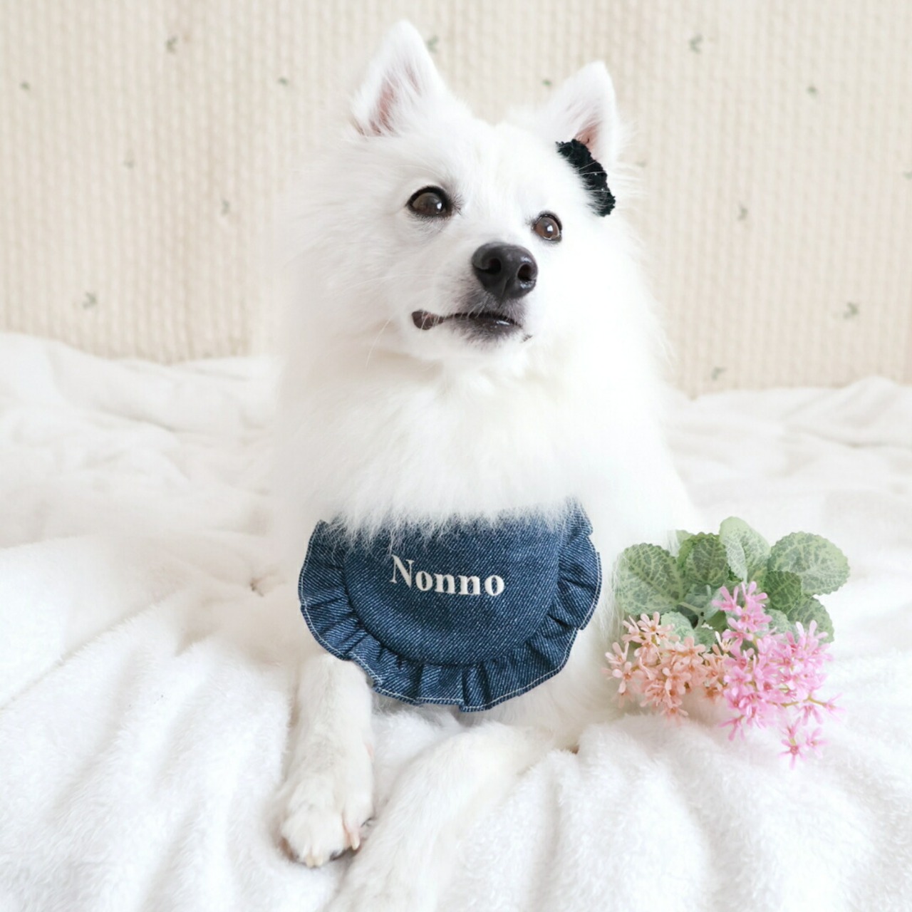 ペット用 デニム スタイ 名入れ 名入れ無料 犬 猫 うさぎ よだれかけ 汚れ防止 ビブ 前掛け ドッグウェア インスタ映え 食事 散歩 アクセサリー おしゃれ おめかし バースデー 誕生日 おでかけ お祝い プレゼント ギフト 可愛い