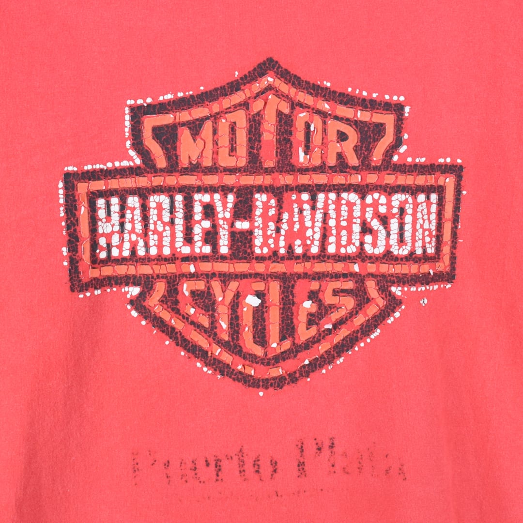 90s 00s ハーレーダビッドソン Tシャツ 雰囲気系 ディーラー物 Tシャツ