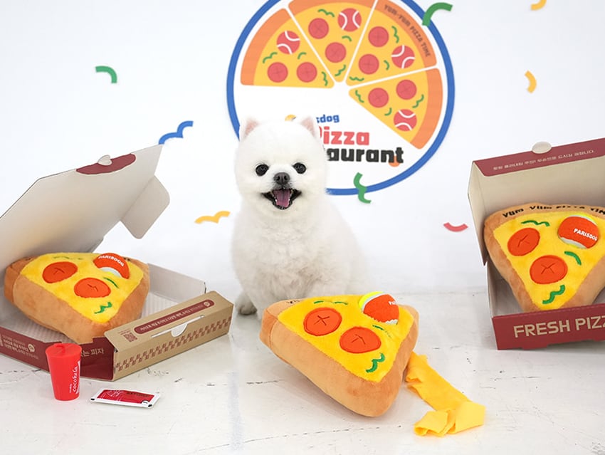 pizza multi toy / ノーズワーク ペット 犬 おもちゃシャカシャカ 知育