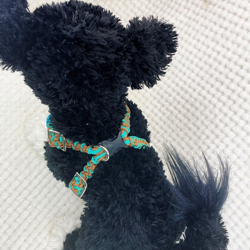 公式]パラコード#10パラコード編み ハーネス＆リードセットNo205