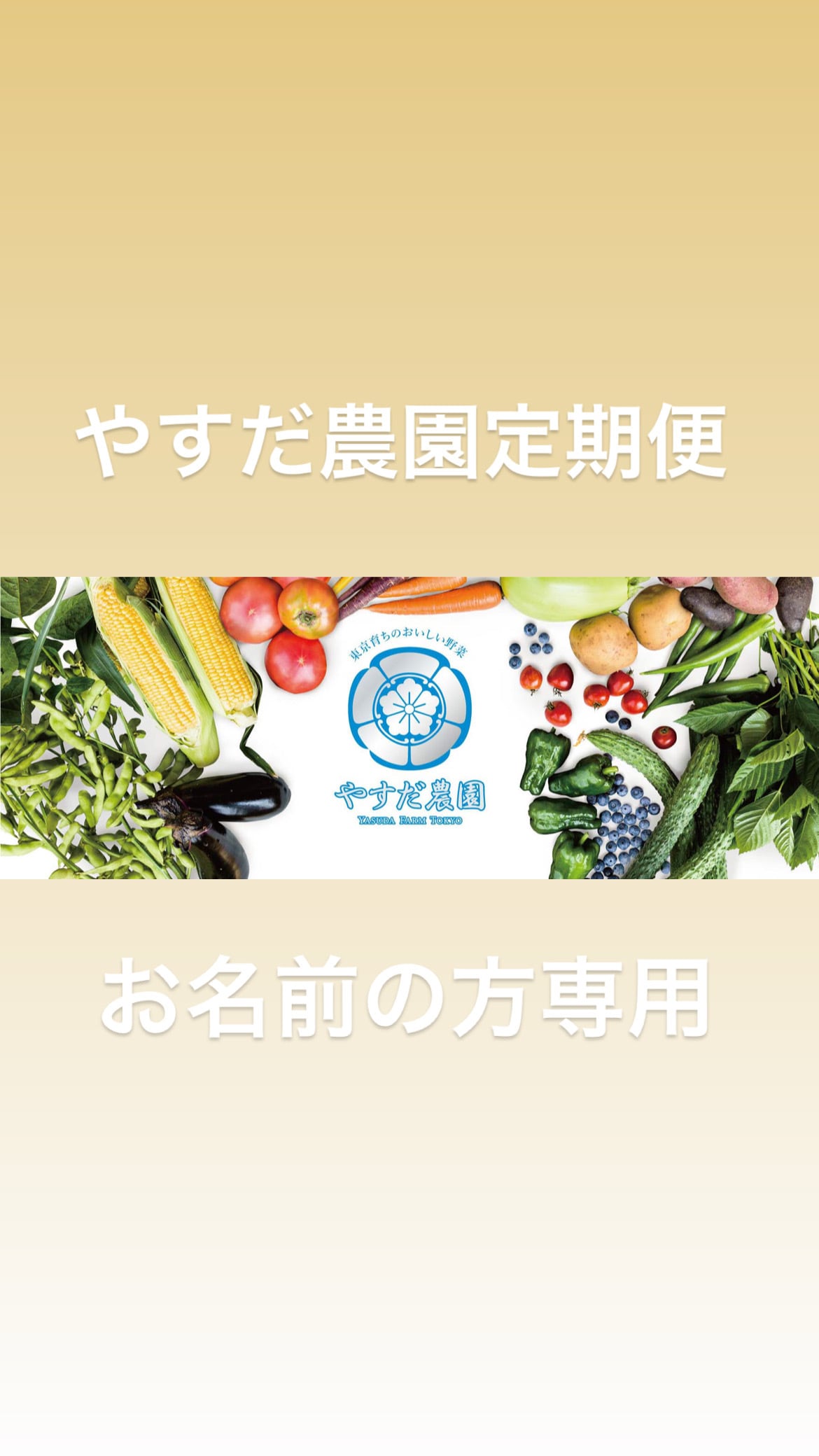 鈴木様専用 【公式通販】
