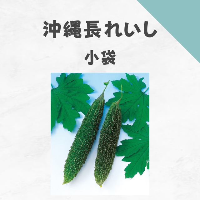 沖縄長れいし　ゴーヤ種子・小袋