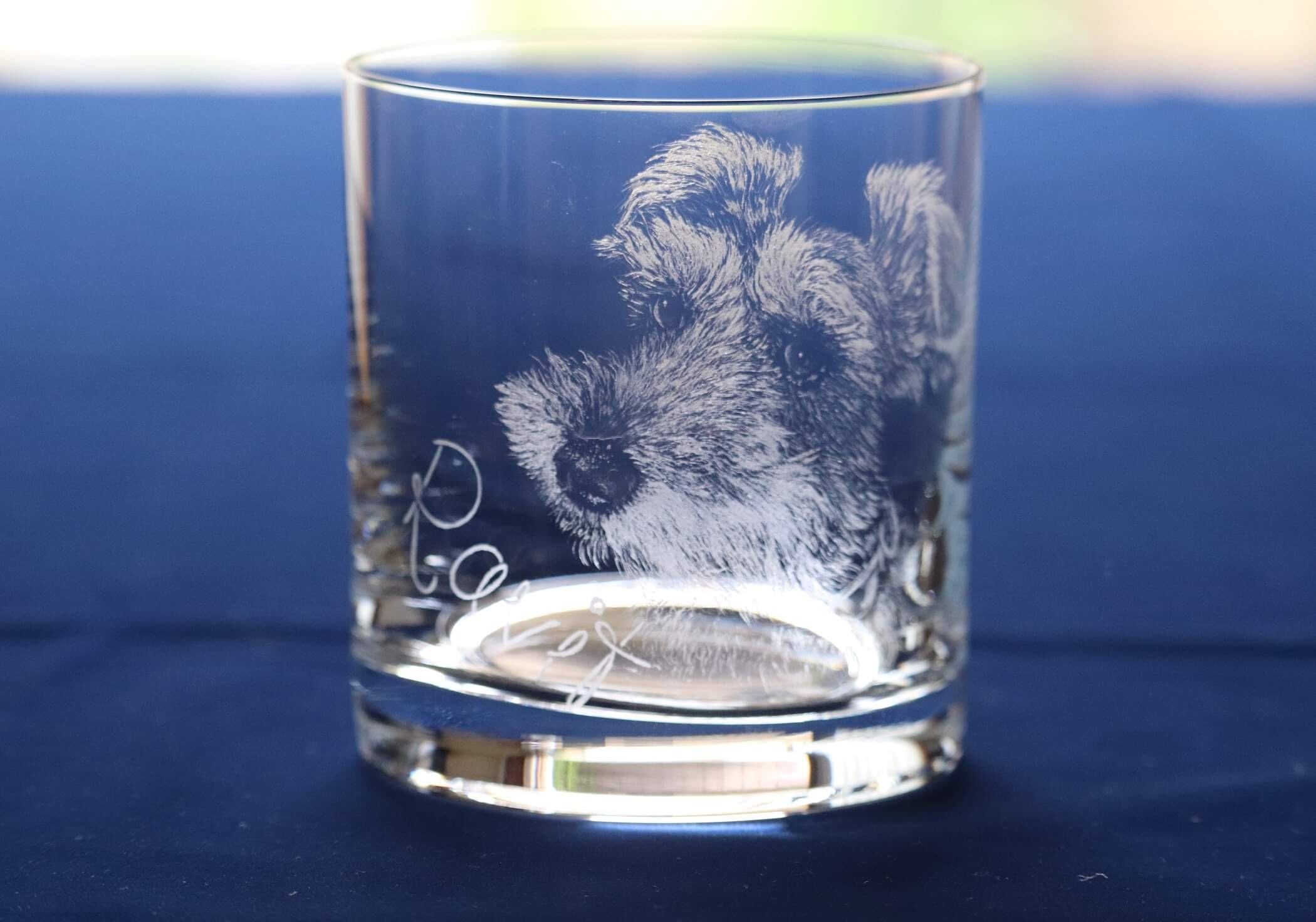 煌めく美しさ 繊細な技と魅力が心を満たす「ガラス工芸品」グラス