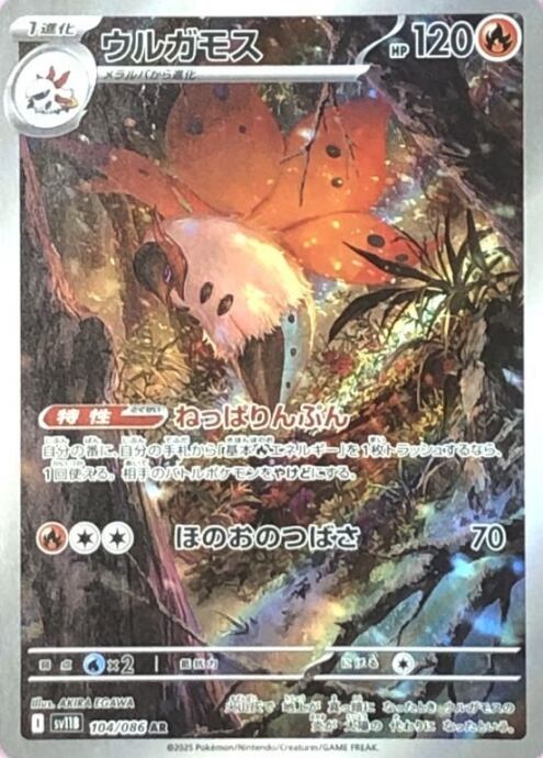 【美品】ウルガモス(AR)